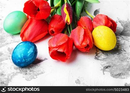 Easter eggs and tulips. Easter colored eggs and bunch of spring tulips
