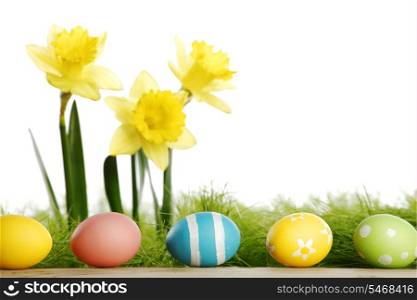 Easter eggs at the foot of a daffodil plant and fresh green grass