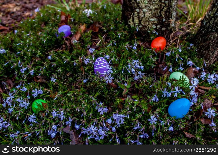 easter eggs hidden in backyard for children to find them