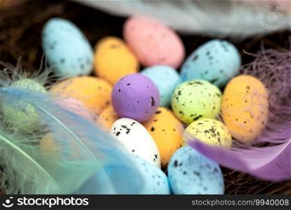 Easter eggs in a bird’s nest pastel colores, Easter, spring, Nature concept background macro with colorful feathers. Easter eggs in a bird’s nest pastel colores, Easter, spring, Nature concept background