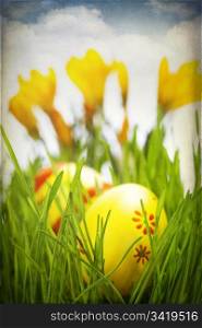 Easter eggs in Fresh Green Grass