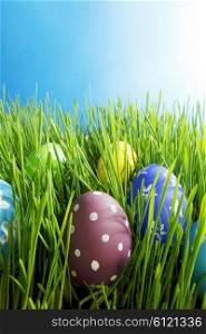 Easter Eggs in fresh green grass under blue sky