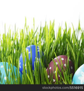 Easter eggs in grass isolated on white background