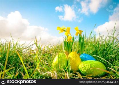 Easter eggs in green grass with daffodils