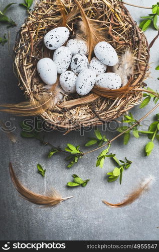 Easter eggs in nest with spring twigs, top view