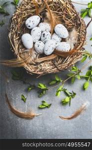 Easter eggs in nest with spring twigs, top view