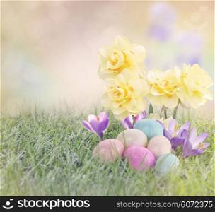 Easter Eggs on Meadow with Daffodil and Crocus Flowers