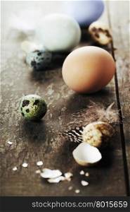 Easter eggs on wooden background - Easter composition