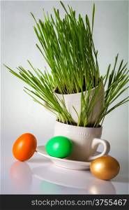 Easter eggs with fresh green grass. Holiday composition
