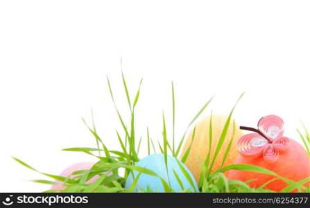 Easter eggs with grass isolated on white background