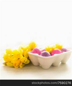Easter eggs with yellow daffodils flowers at white background