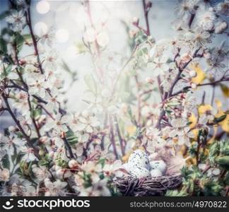 Easter greeting card with bird nest and eggs on branch of cherry tree blossom