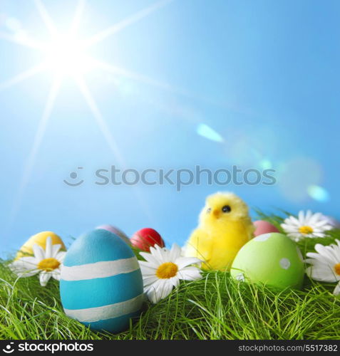 Easter Greeting Card with decorated Easter eggs in the grass and flowers