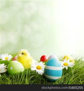 Easter Greeting Card with decorated eggs, flowers and cick in the grass