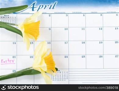 Easter holiday marked on calendar with yellow daffodils