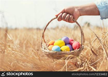 easter painted eggs in basket hand holding over meadow