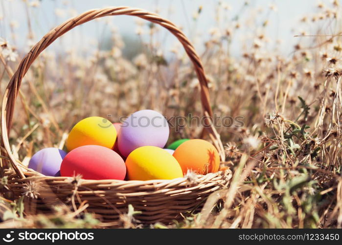 easter painted eggs in basket on meadow