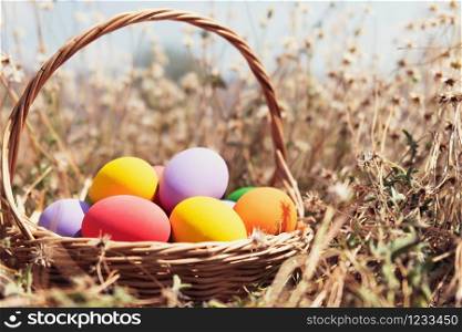 easter painted eggs in basket on meadow
