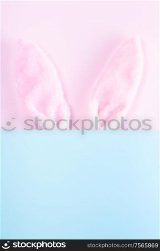 Easter rabbit flalffy ears on pink and blue background with copy space. Easter scene with rabbit ears