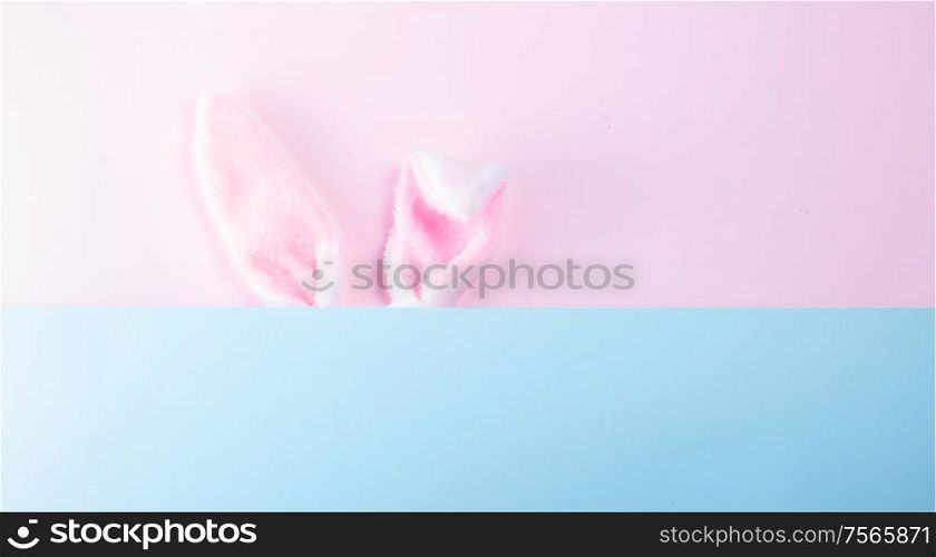 Easter rabbit flalffy ears on pink nd blue background with copy space. Easter scene with rabbit ears