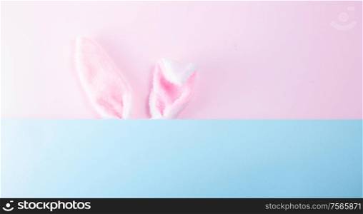 Easter rabbit flalffy ears on pink nd blue background with copy space. Easter scene with rabbit ears