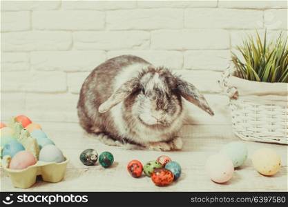 Easter rabbit in home with eggs and green grass. Easter rabbit in home