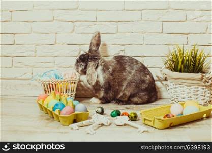 Easter rabbit in home with eggs and green grass. Easter rabbit in home