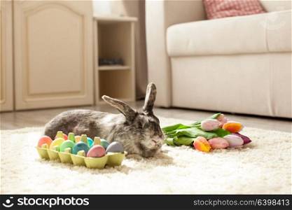 Easter rabbit in the room on a carpet with colorful eggs. Easter rabbit in the room