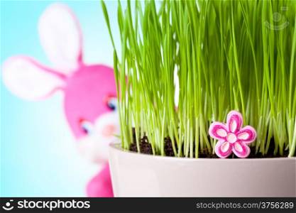 Easter rabbit sitting behind the grass with his face to camera. Focus on pink flower.