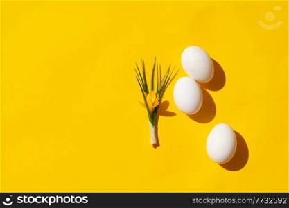 Easter scene with crocus flower and white eggs over illuminating yellow background. Easter scene with white eggs