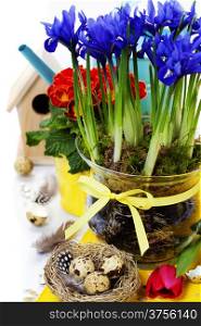 Easter still life of quail eggs and spring flowers