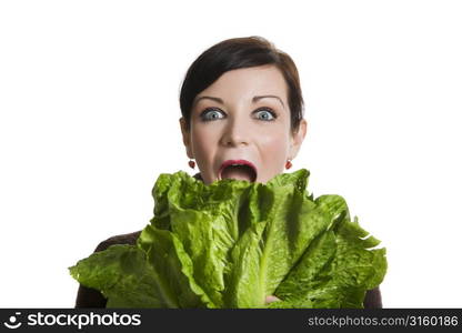 Eating lettuce