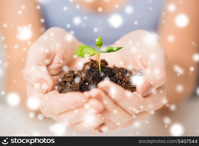 eco, bio, environment, growth, care concept - woman hands with green sprout and ground