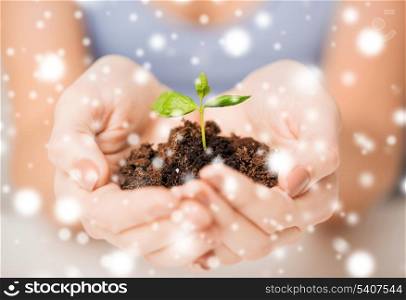 eco, bio, environment, growth, care concept - woman hands with green sprout and ground