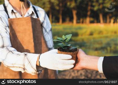 Eco-business company empower farmer with eco-friendly farming practice and clean agricultural technology. Cultivate sustainable future nurturing plants to grow and thrive. Gyre. Eco-business company empower farmer with eco-friendly farming practice. Gyre