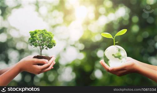 eco concept. hand holding crystal glass with tree growing and green nature background. idea save world. earth day