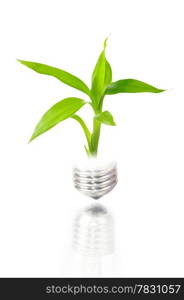 eco concept: light bulb with plant inside isolated on white