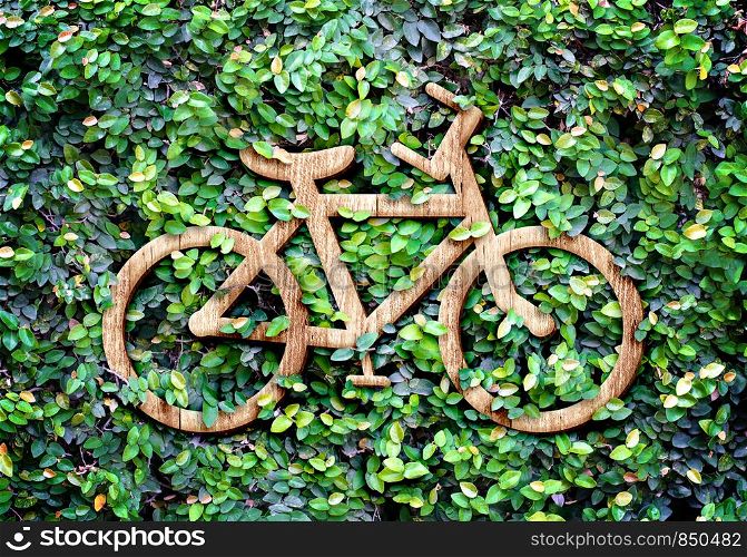 Eco concept :Wood texture Bicycle icon on green leaves wall.