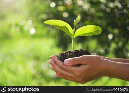 eco earth day concept. hand holding young plant in sunshine and green nature background