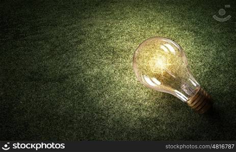 Eco friendly idea. Glass glowing light bulb on green grass