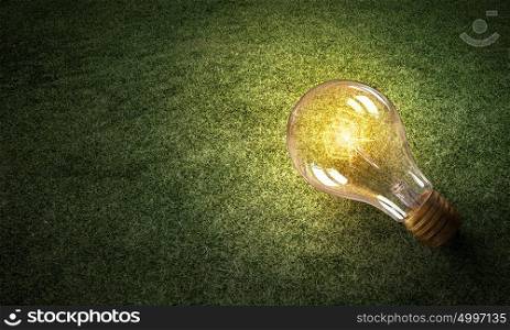 Eco friendly idea. Glass glowing light bulb on green grass