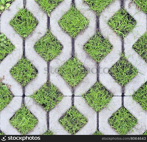 eco-friendly parking of concrete cells and turf grass
