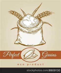 Eco grains product sketch illustration. Eco grains product. Hand drawn sack full of grain or flour and bunche of wheat ears sketch vector illustration