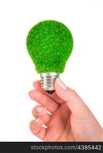Eco light bulb in hand isolated on white background