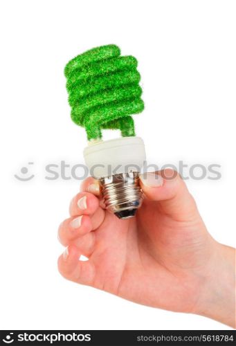Eco light bulb in hand isolated on white background