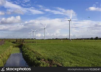 Eco power in nature landscape, Dutch landscape with windmills and cows grazing meadow. Eco power in nature landscape, Dutch landscape with windmills and cows grazing