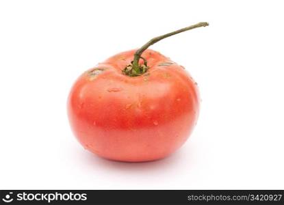 Eco red tomato