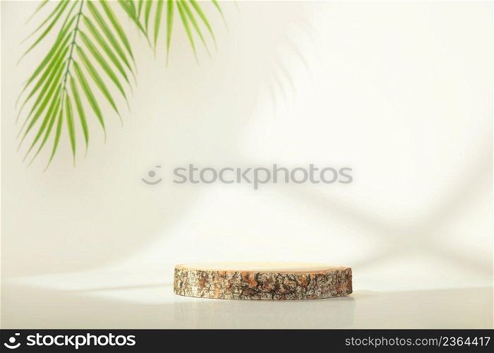 Eco rustic pine tree wood disc platform podium and tropical leaf on white light and shadow copy spase background. Minimal empty display product presentation scene