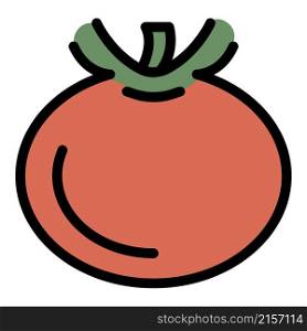 Eco tomato icon. Outline eco tomato vector icon color flat isolated. Eco tomato icon color outline vector