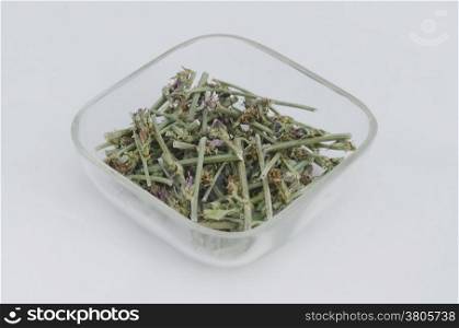 Ecological medicative dry herb flower - chicory (Cichorium Intybus) on the glass plate